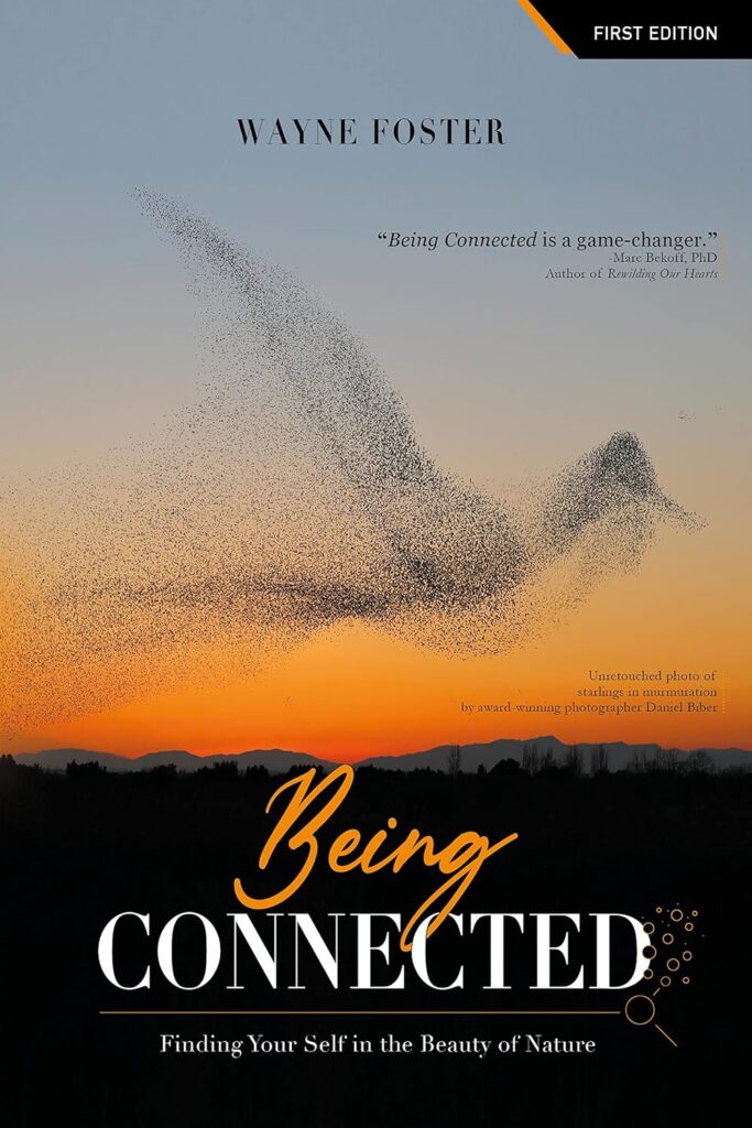 Book cover: Wayne Foster, Being Connected
